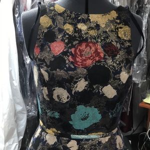 Tahari  Arthur Levine  petit dress